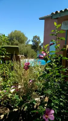 a garden with pink flowers in front of a building at Canopee by Pinarello Villa Services in Zonza