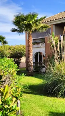 a palm tree in the yard of a house at Appartamento climatizzato di 42 mq a Marina di Bravone a 200m dalla spiaggia in Linguizzetta