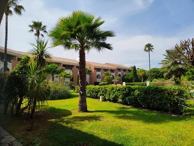 a yard with palm trees and a building at Appartamento climatizzato di 42 mq a Marina di Bravone a 200m dalla spiaggia in Linguizzetta
