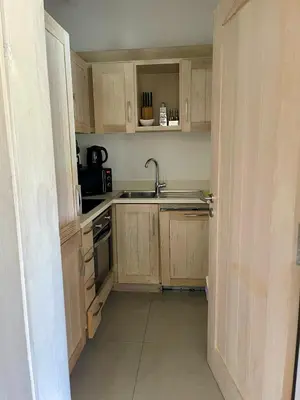 a small kitchen with wooden cabinets and a sink at Apartments PETIT DOMAIN DE SPERONE in Bonifacio