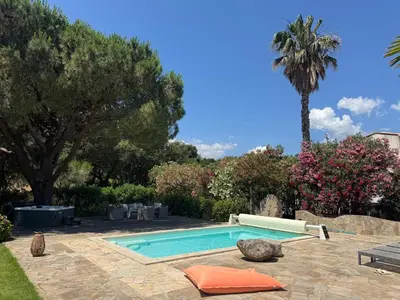 a swimming pool in a yard with a palm tree at Casa Flamingo in Porto-Vecchio