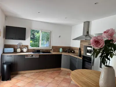 a kitchen with gray cabinets and a vase with pink roses at Casa Flamingo in Porto-Vecchio