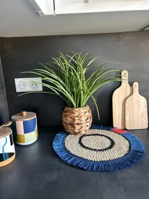a potted plant sitting on a table with a rug at Casa Lucia in Aléria