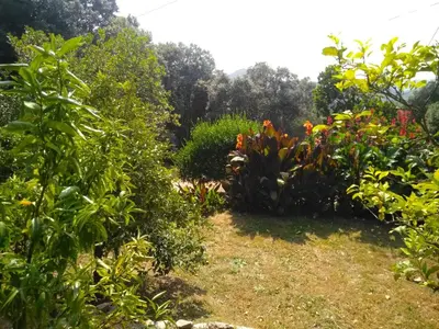 a garden with colorful flowers and plants at Chez Nat et JC in Eccica-Suarella