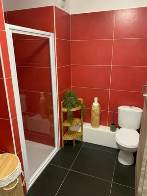 a bathroom with a shower and a toilet at Ajaccio j2 in Ajaccio