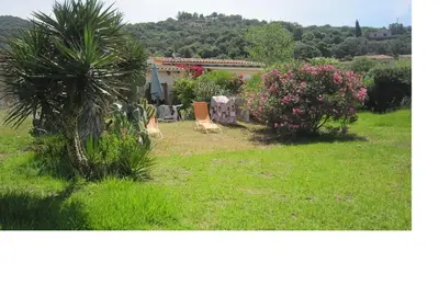 two chairs in a yard with a palm tree and flowers at Beau logement de type F3 avec jardin fleuri à 5 min de la plage in Cargèse