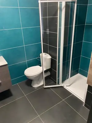 a bathroom with a toilet and a shower at Ajaccio j1 in Ajaccio