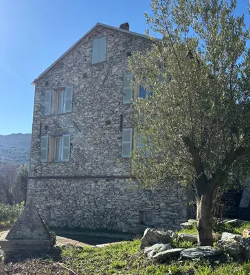an old stone building with a tree in front of it at La demeure des vignes in Murato