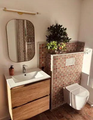 a bathroom with a sink and a toilet and a mirror at La demeure des vignes in Murato