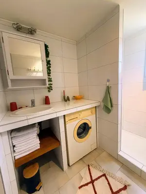 a bathroom with a washing machine and a sink at La Dolce Villa avec Piscine in Zonza
