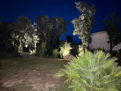 a garden at night with lights at A Cupulata in Porto-Vecchio