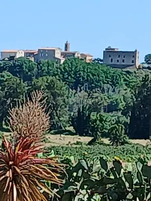 a view of a hill with plants and buildings at Chez Rachel chambre et salle bain privative chez l'habitant in Aléria