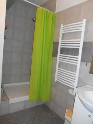 a shower with a green shower curtain in a bathroom at B&B la rivière in Penta-di-Casinca