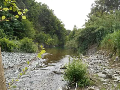 a river with rocks and trees on the side at B&B la rivière in Penta-di-Casinca