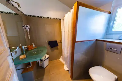 a bathroom with a green sink and a toilet at La Bergerie - Les Sittelles in Pinarellu