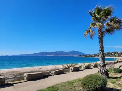 a palm tree on a sidewalk next to the beach at T2 Yucca LCP - Beautiful 48 m2 2-room, 17 m2 terrace, new, air conditioning in Grosseto-Prugna