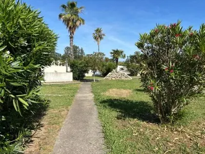 a walking path in a park with palm trees at T2 climatisé avec piscine in Prunelli-di-Fiumorbo