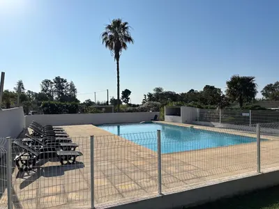 a swimming pool with chairs and a palm tree at T2 climatisé avec piscine in Prunelli-di-Fiumorbo