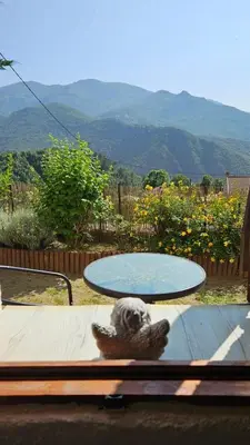 a table with a bird statue sitting on top of it at Location de charme au coeur de la Corse - Piscine privative - calme - nature in San-Lorenzo
