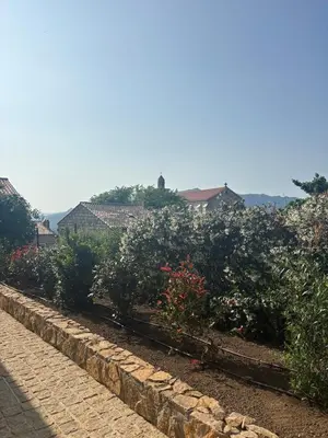 a row of plants in a garden with houses in the background at Casa Pitrina in Viggianello