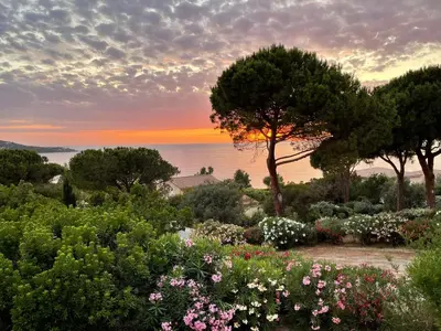 a garden with flowers and trees with a sunset in the background at Costa di fiori in Coti-Chiavari