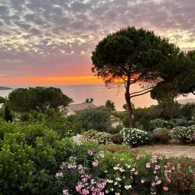 Costa di fiori