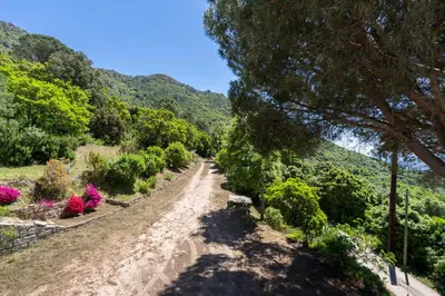 a dirt road with flowers and trees on a hill at U Tadu - Maison de vacances en pierre avec vue et nature en Corse du Sud in Monacia-dʼAullène