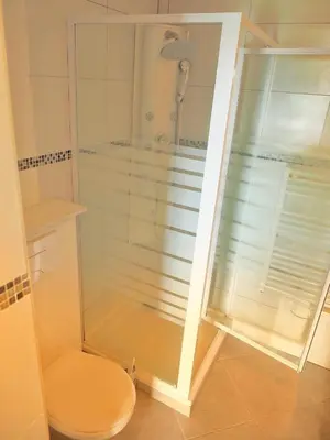 a bathroom with a shower and a toilet at Très joli gîte T3, 55m2 climatisé région Propriano 5 personnes in Compoli
