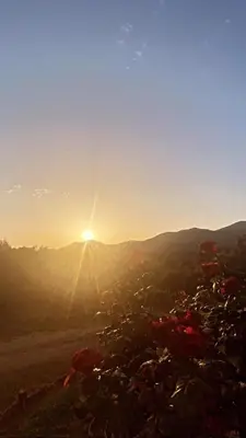 a view of the sun rising over the mountains at Très joli gîte T3, 55m2 climatisé région Propriano 5 personnes in Compoli