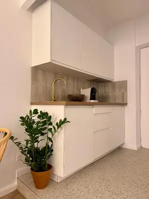 a kitchen with white cabinets and a potted plant at Appartement Ajaccio Casa Dea in Ajaccio