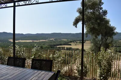 a view from a winery tasting room with a table and a vineyard at Amandula Bergerie Sotta hyper cozy in Sotta