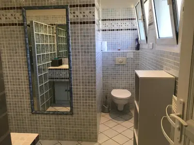 a bathroom with a toilet and a shower with a mirror at Villa ALETTI MJ piscine privée Porto Vecchio in Porto-Vecchio