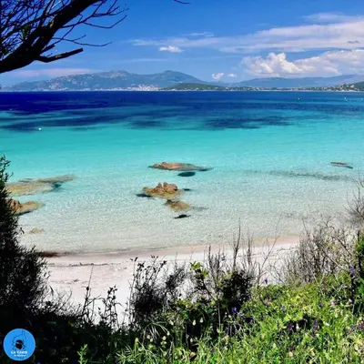 a view of a beach with blue water at Maison plage a pied 6 personnes in Albitreccia