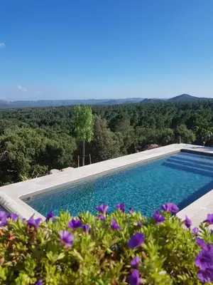 a swimming pool with purple flowers in the foreground at Villa tasche-vecchio in Porto-Vecchio