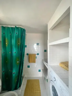a bathroom with a green shower curtain next to a toilet at Tana Torricella in Bonifacio