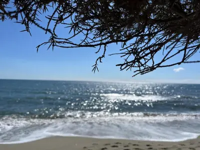 a view of the ocean from the beach at Maison INDEPENDANTE entre mer et montagne in Prunelli-di-Fiumorbo