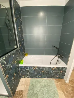 a bathroom with a tub and a green wall at Superbe Appartement au coeur d ajaccio in Ajaccio