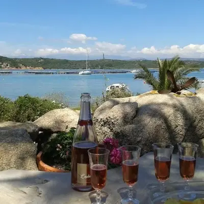Villa les pieds dans l'eau