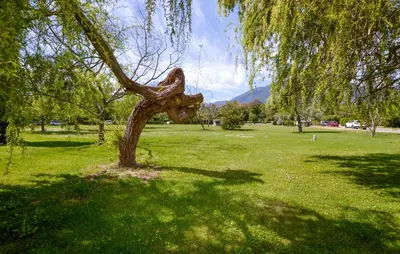 a statue of a tree in a park at Gorgeous Apartment In Moriani Plage in Moriani Plage