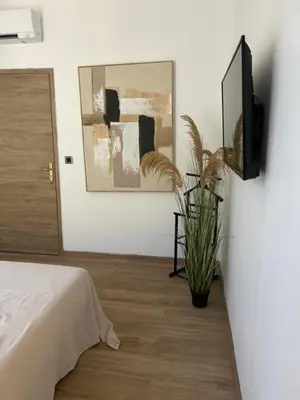 a bedroom with a bed and a tv and a plant at U San Petru -Locations de chambres in Bains de Guitera