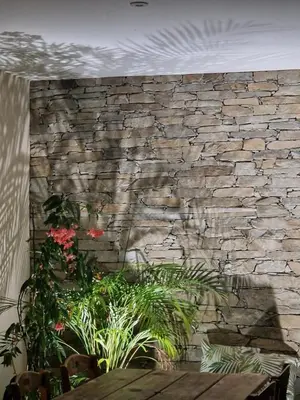 a stone wall with plants in front of a table at Agapanthe location in San-Nicolao