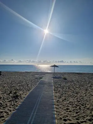 a pathway on a beach with an umbrella at Agapanthe location in San-Nicolao
