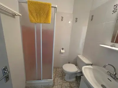 a bathroom with a shower and a toilet and a sink at Appartement confortable à Marignana, 50 m² avec 3 chambres in Marignana