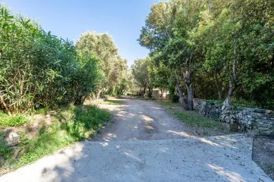 a dirt road with trees on both sides at Le Refuge du Maquis in Bonifacio