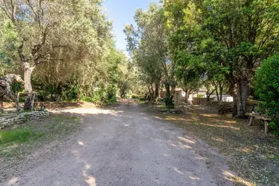a dirt road with trees on either side at Le Refuge du Maquis in Bonifacio
