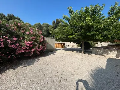 a shadow of a person standing next to a tree at Vacances Bonifacio Bergerie in Bonifacio