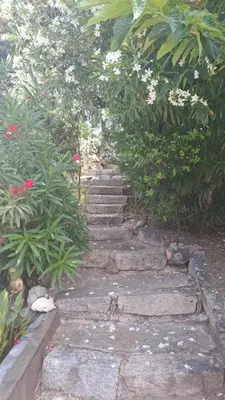 a set of stone stairs in a garden with flowers at Le Maquis in Alata