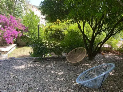 two chairs sitting next to a tree in a garden at Au coeur de Sartène appartement de charme dans un écrin de verdure in Sartène