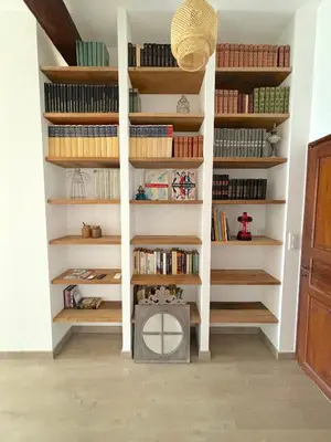 a book shelf with books in a room at L'appartement Pianosa in Aléria
