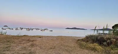 a group of birds standing in the water on a beach at Marina-Di-Pinarello Corse-du-Sud à 400m de la plage Pinarellu in Zonza